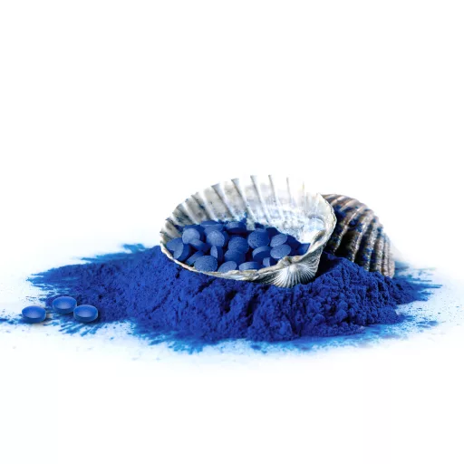 BioMenü Bio Blaue Spirulina Algen Tabletten 90 Stk Rohmaterial