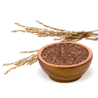 BioMenü Bio-Rotreis 500 g Produktbild