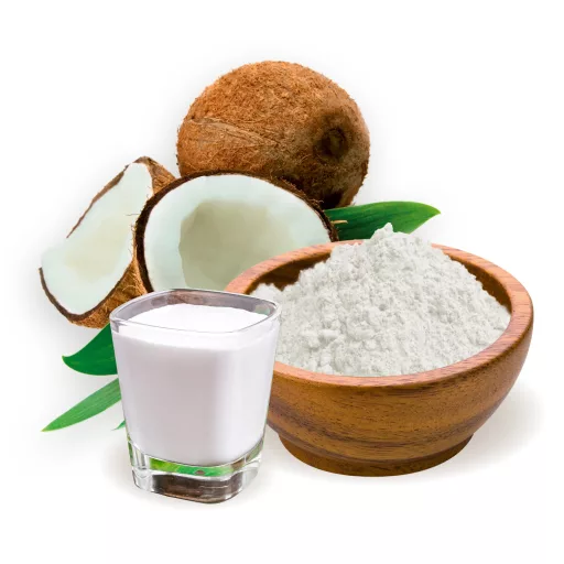BioMenü Bio-Kokosmilchpulver 125 g Rohmaterial