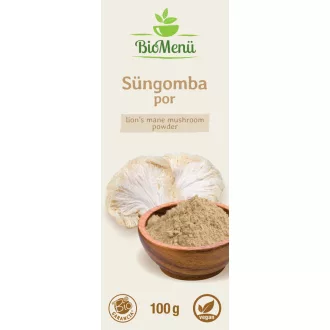 BioMenü Bio Löwenmähnenpilz Pulver 100 g Produktbild