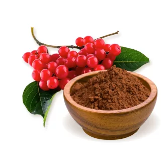 BioMenü Bio Schisandra Pulver 125 g Produktbild