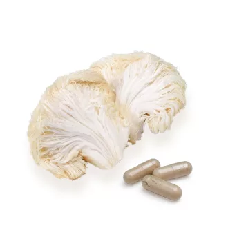 BioMenü Bio Löwenmähnenpilz Kapseln 60 Stk Produktbild