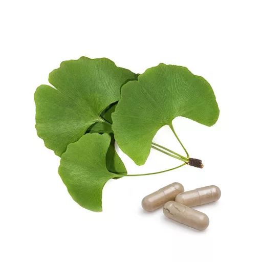 BioMenü Bio Ginkgo Biloba Kapseln 60 Stk Rohmaterial