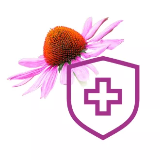 Caleido Immunkomplex Kapseln 60 Stk Produktbild