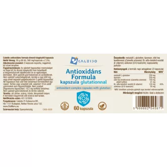 Caleido Antioxidantienkomplex Kapseln 60 Stk Produktbild