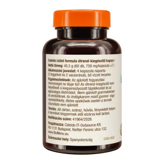 Caleido Gelenkkomplex Kapseln 60 Stk Produktbild