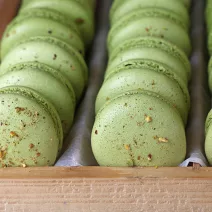 Macaron mit Spirulina und Pistazien