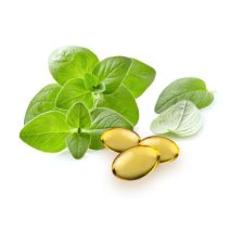 Oregano