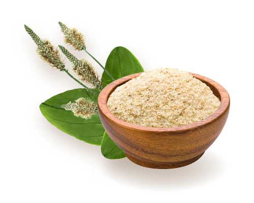 Psyllium