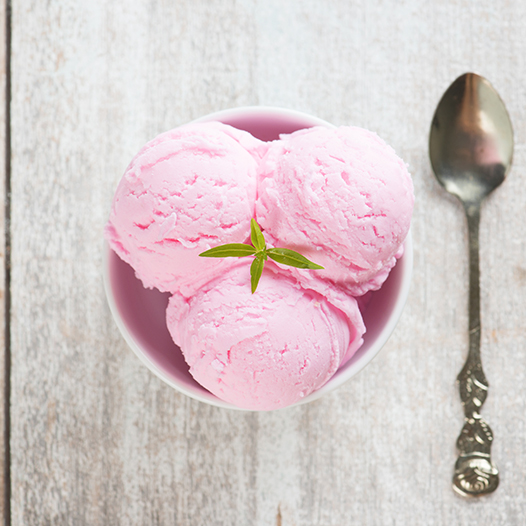 Hausgemachter Hagebutten-Frozen Yogurt